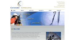 Desktop Screenshot of cavanaroconsulting.com